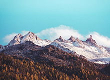 澳彩图库开奖-米体：瓦拉内解释退役原因，膝盖失衡让他难以继续